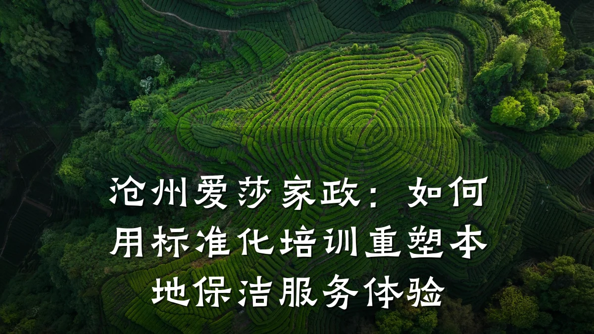 沧州爱莎家政：如何用标准化培训重塑本地保洁服务体验