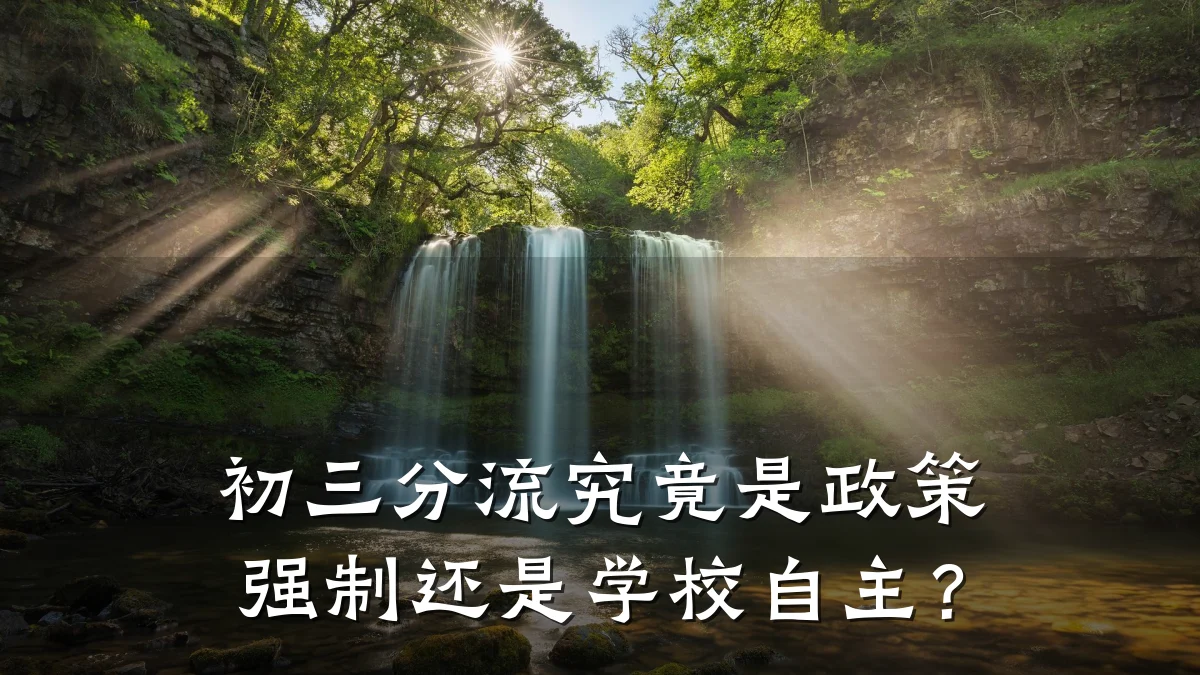 初三分流究竟是政策强制还是学校自主?