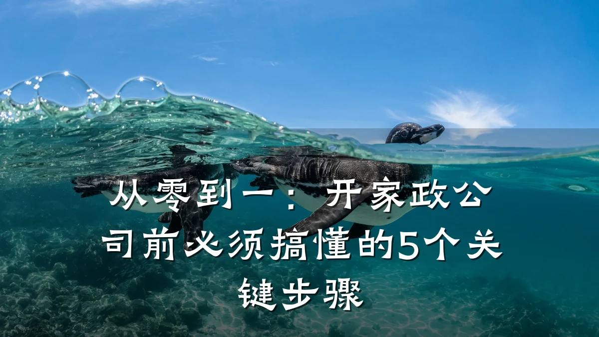 从零到一:开家政公司前必须搞懂的5个关键步骤