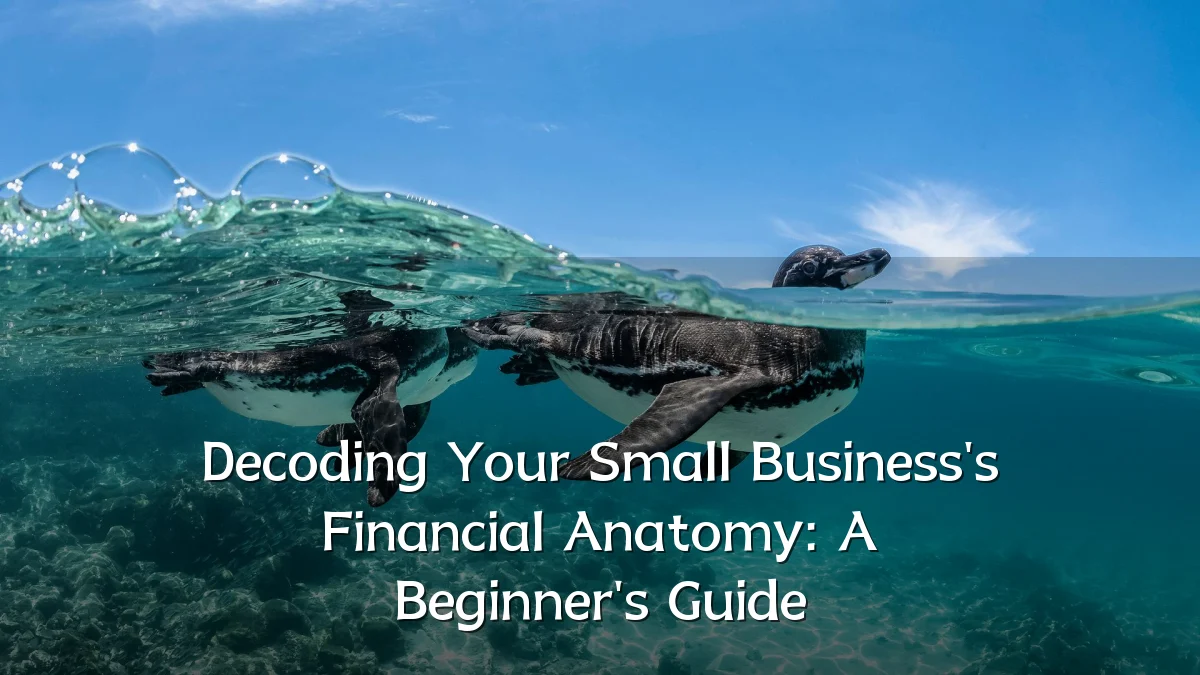 Decoding Your Small Business's Financial Anatomy: A Beginner's Guide