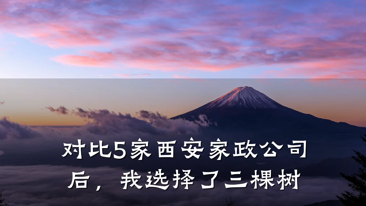 对比5家西安家政公司后,我选择了三棵树