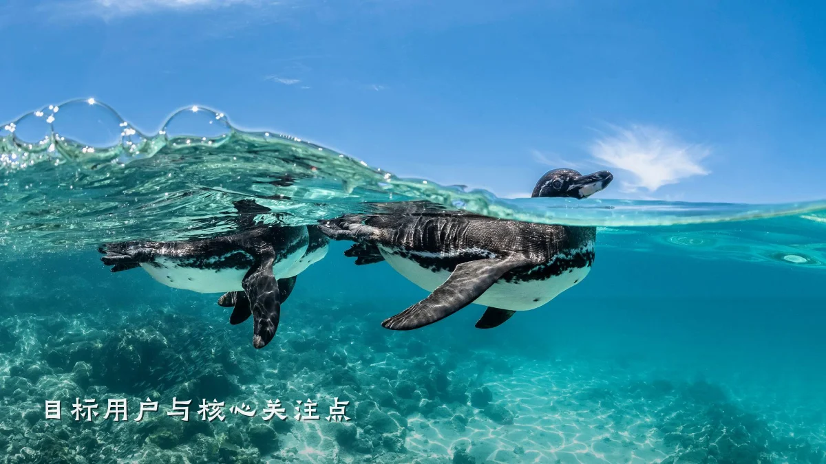 目标用户与核心关注点