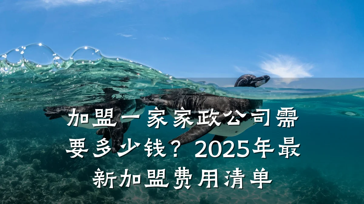 加盟一家家政公司需要多少钱?2025年最新加盟费用清单
