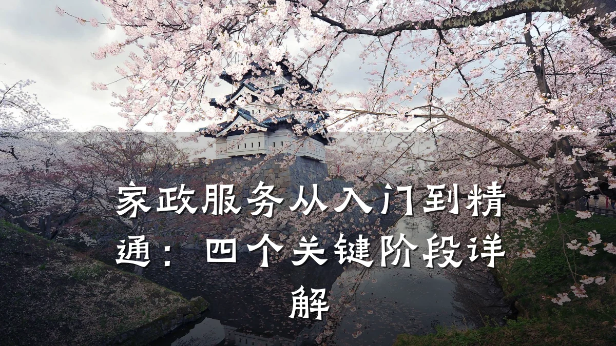 家政服务从入门到精通:四个关键阶段详解