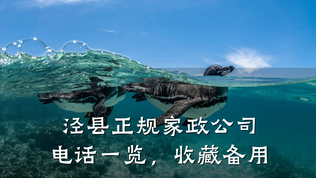 泾县正规家政公司电话一览,收藏备用