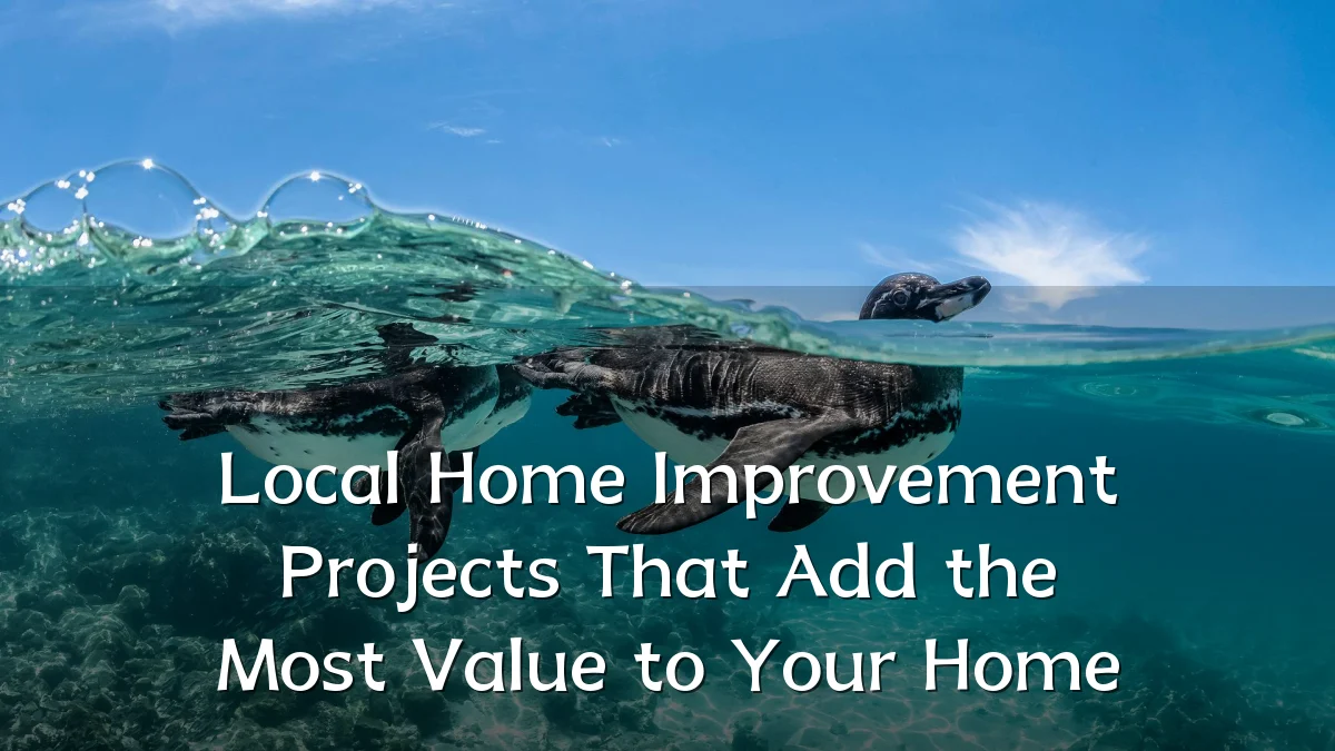 Local Home Improvement Projects That Add the Most Value to Your Home