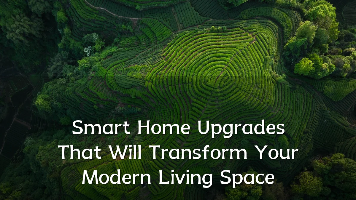 Smart Home Upgrades That Will Transform Your Modern Living Space
