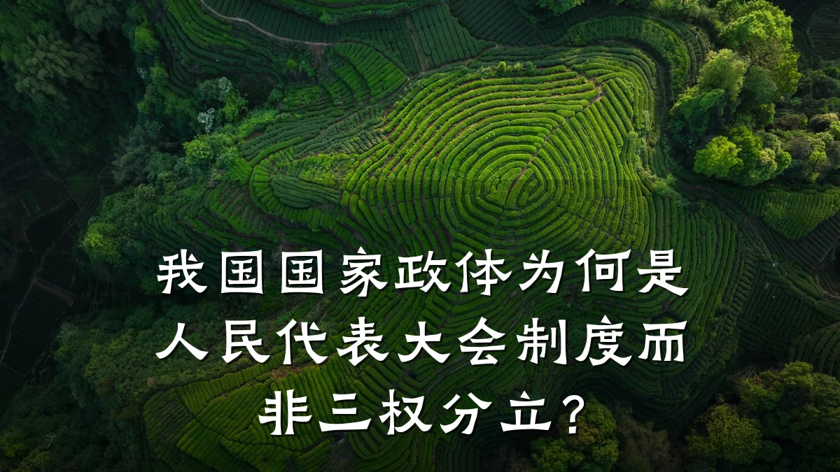 我国国家政体为何是人民代表大会制度而非三权分立?