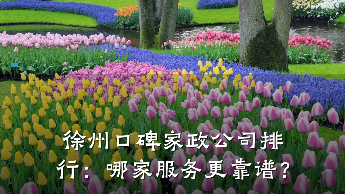 徐州口碑家政公司排行:哪家服务更靠谱?