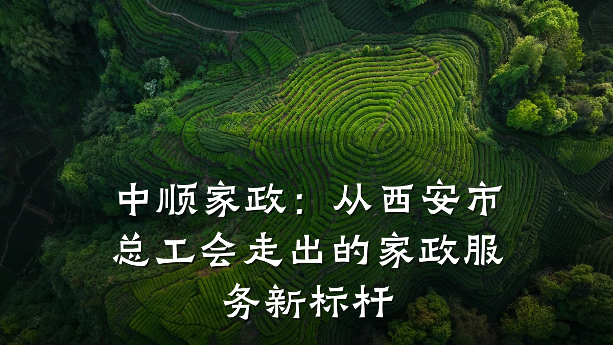 中顺家政:从西安市总工会走出的家政服务新标杆