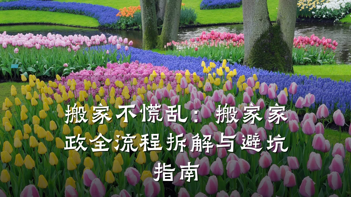 搬家不慌乱：搬家家政全流程拆解与避坑指南