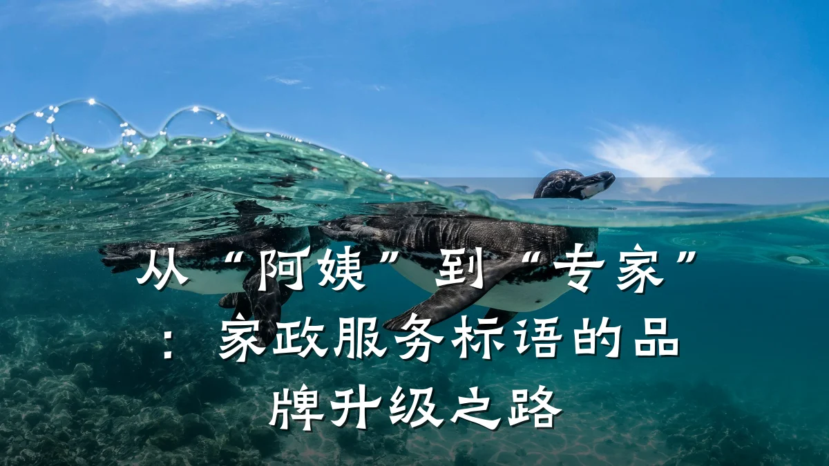 从“阿姨”到“专家”:家政服务标语的品牌升级之路