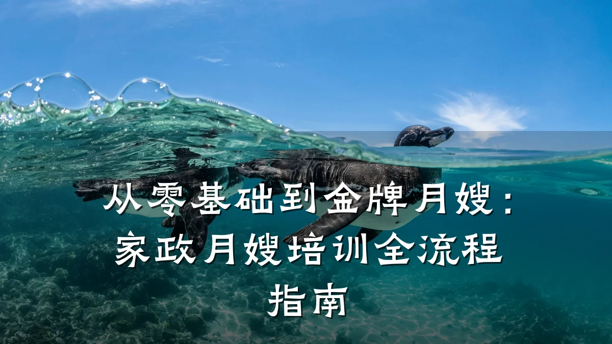 从零基础到金牌月嫂:家政月嫂培训全流程指南