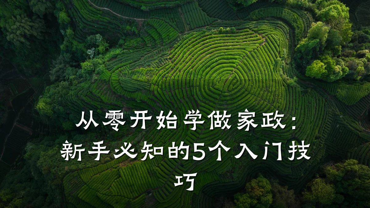 从零开始学做家政:新手必知的5个入门技巧