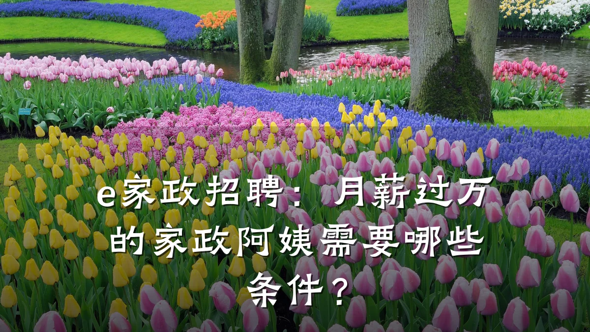 e家政招聘:月薪过万的家政阿姨需要哪些条件?