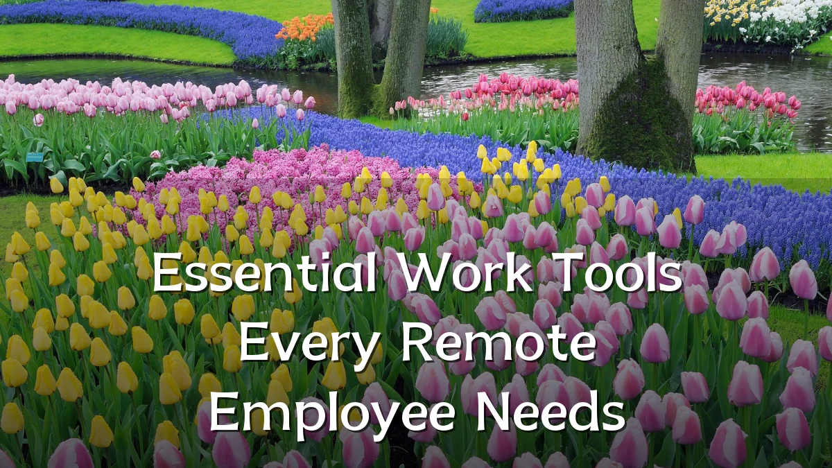 Essential Work Tools Every Remote Employee Needs
