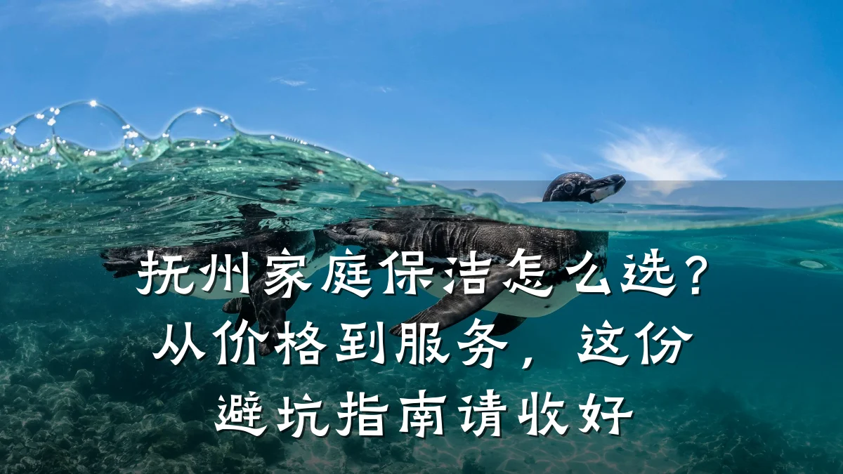抚州家庭保洁怎么选？从价格到服务，这份避坑指南请收好