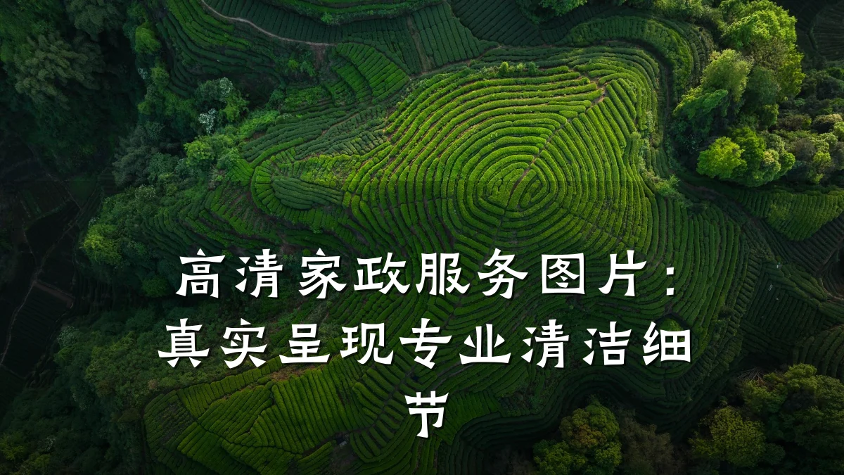 高清家政服务图片：真实呈现专业清洁细节