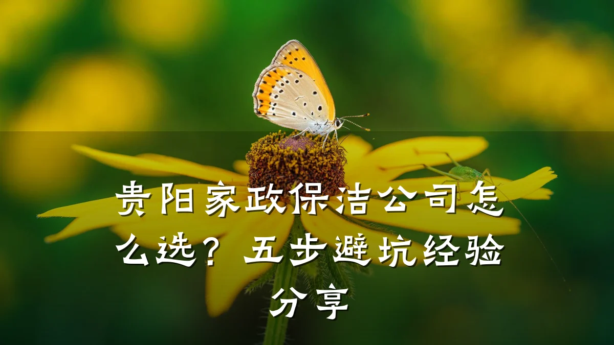 贵阳家政保洁公司怎么选?五步避坑经验分享