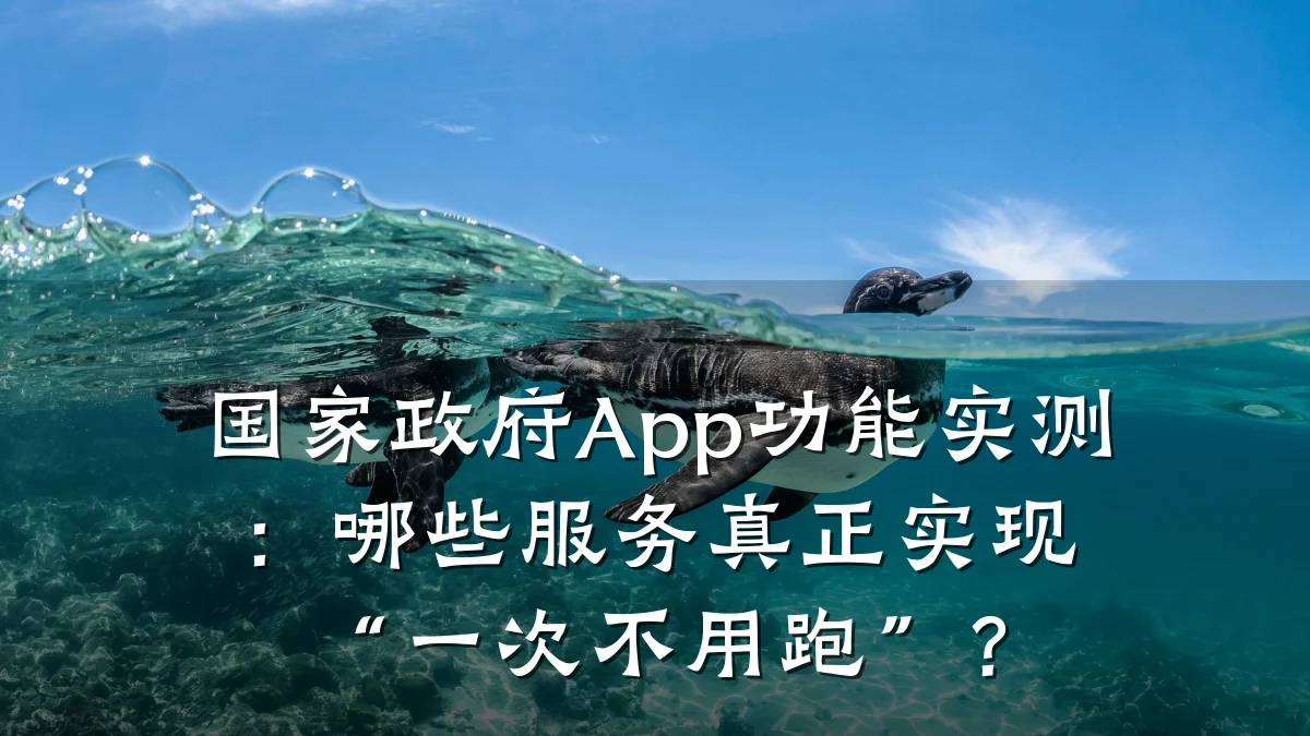 国家政府App功能实测:哪些服务真正实现“一次不用跑”?
