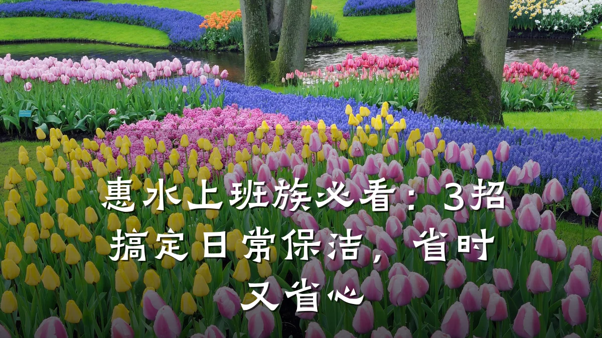 惠水上班族必看:3招搞定日常保洁,省时又省心