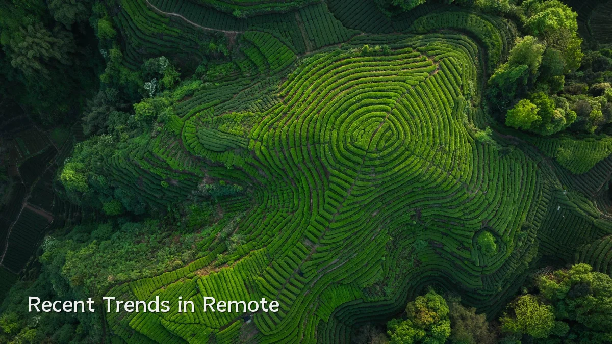 Recent Trends in Remote