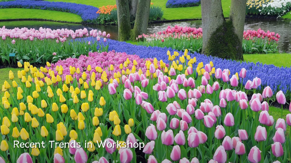 Recent Trends in Workshop