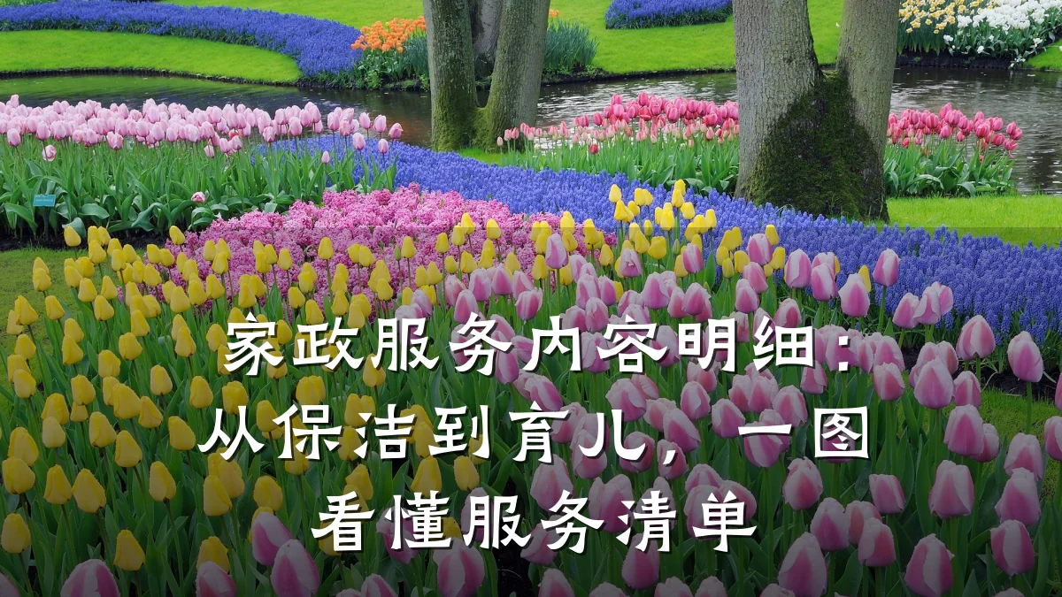 家政服务内容明细:从保洁到育儿,一图看懂服务清单