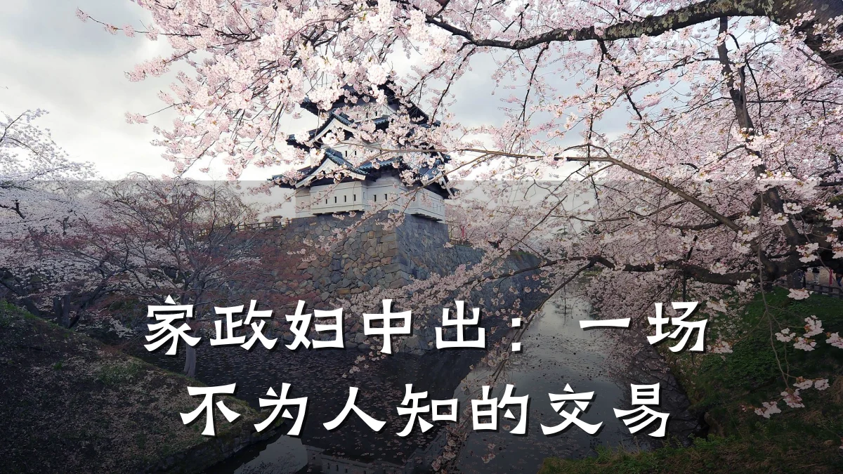家政妇中出：一场不为人知的交易