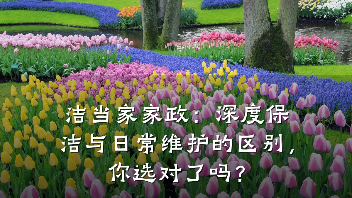 洁当家家政：深度保洁与日常维护的区别，你选对了吗？