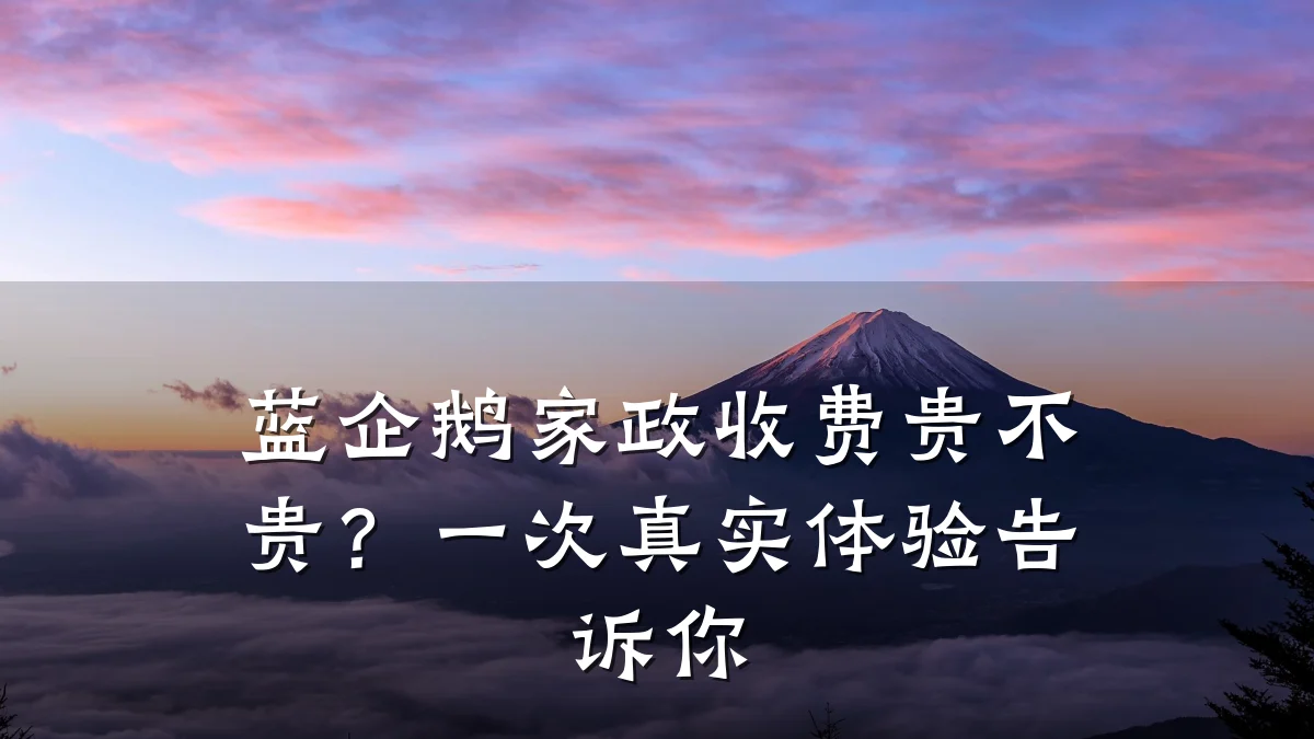 蓝企鹅家政收费贵不贵？一次真实体验告诉你