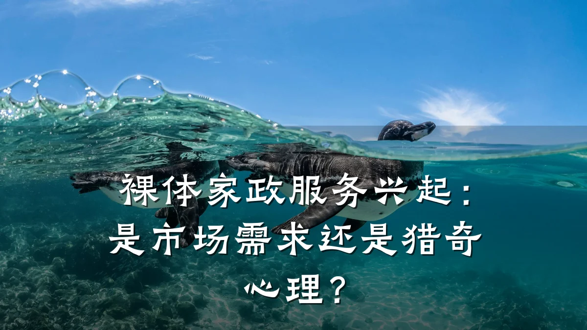 裸体家政服务兴起:是市场需求还是猎奇心理?