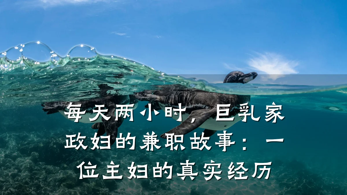 每天两小时，巨乳家政妇的兼职故事：一位主妇的真实经历