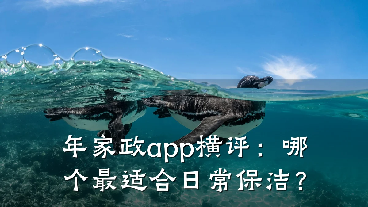 年家政app横评：哪个最适合日常保洁？
