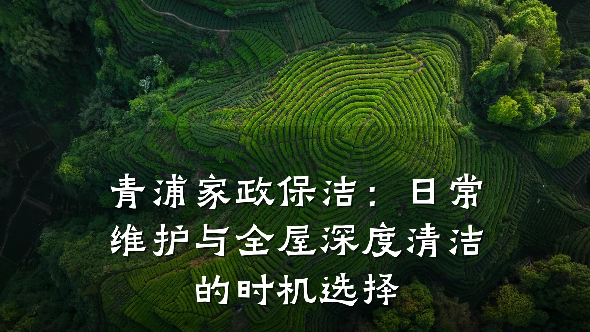青浦家政保洁：日常维护与全屋深度清洁的时机选择