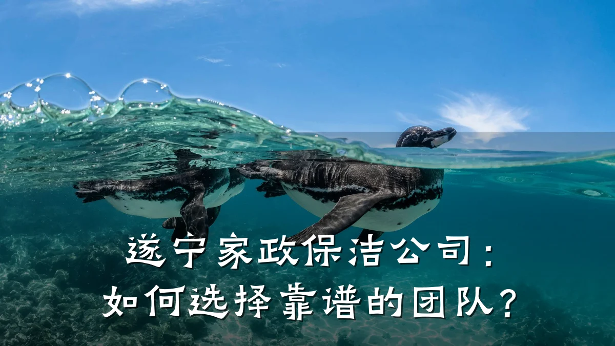 遂宁家政保洁公司:如何选择靠谱的团队?