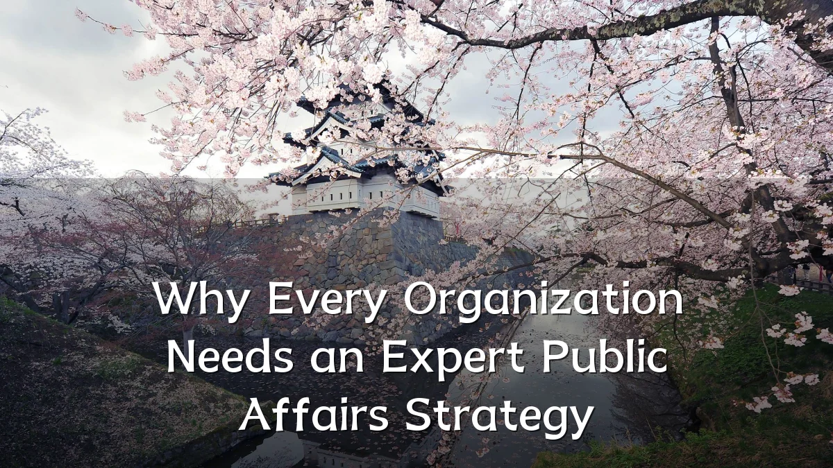 Why Every Organization Needs an Expert Public Affairs Strategy
