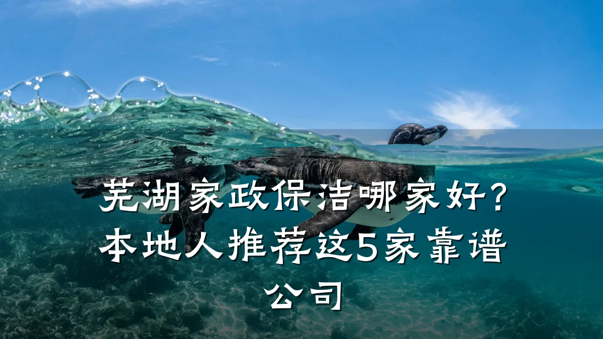 芜湖家政保洁哪家好？本地人推荐这5家靠谱公司