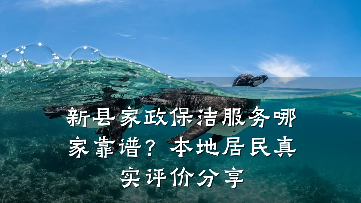 新县家政保洁服务哪家靠谱?本地居民真实评价分享