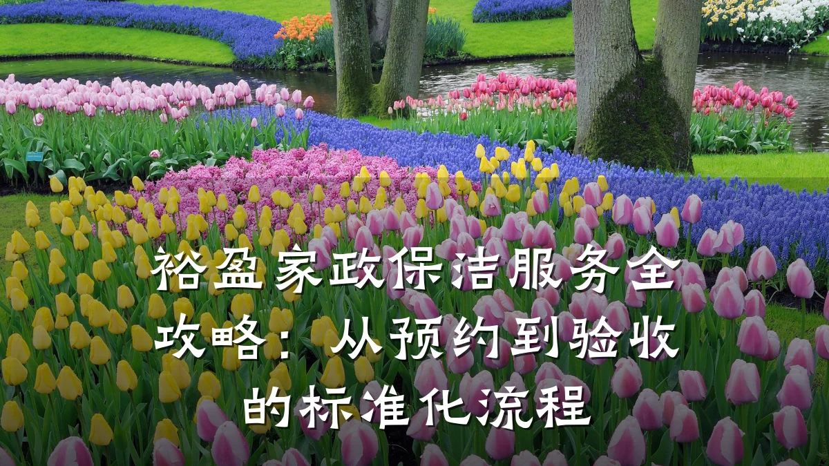 裕盈家政保洁服务全攻略：从预约到验收的标准化流程