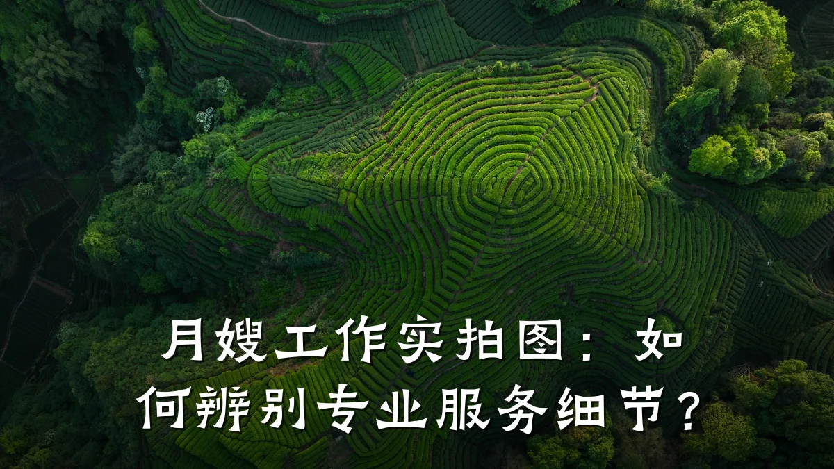 月嫂工作实拍图:如何辨别专业服务细节?