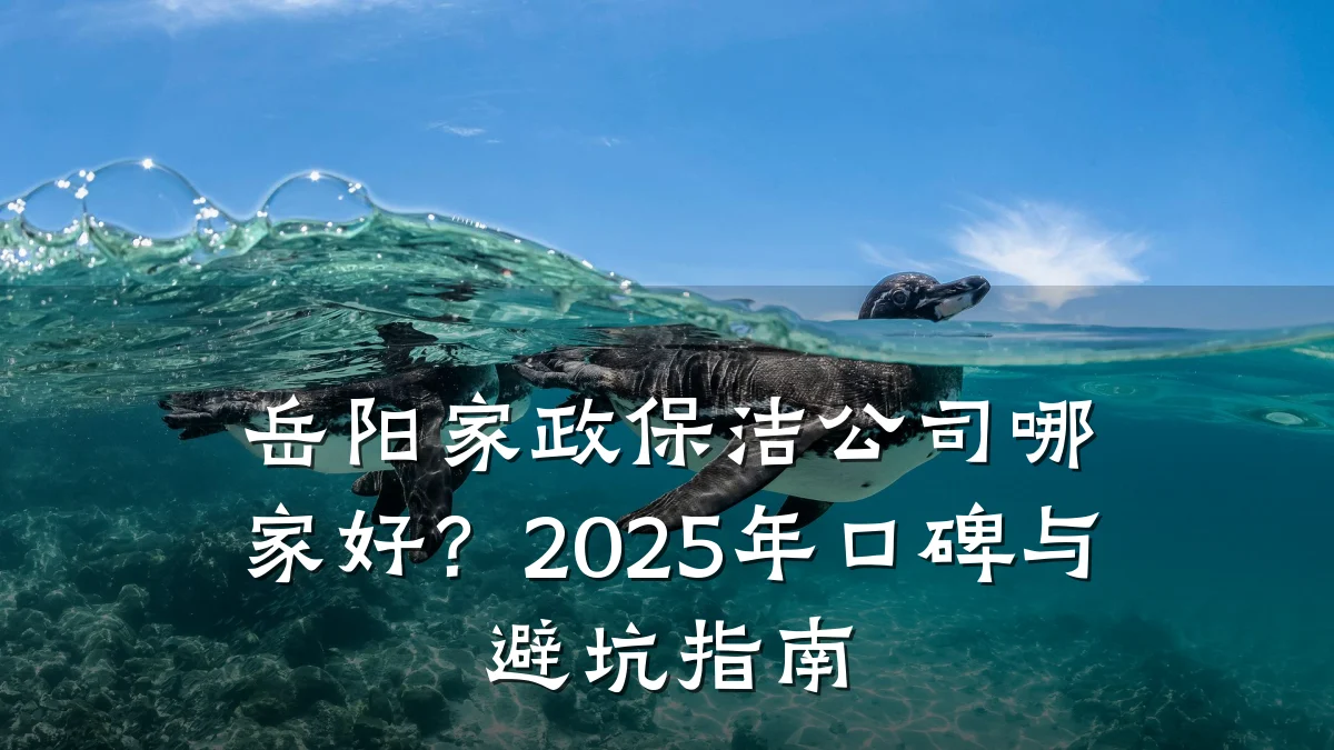 岳阳家政保洁公司哪家好?2025年口碑与避坑指南