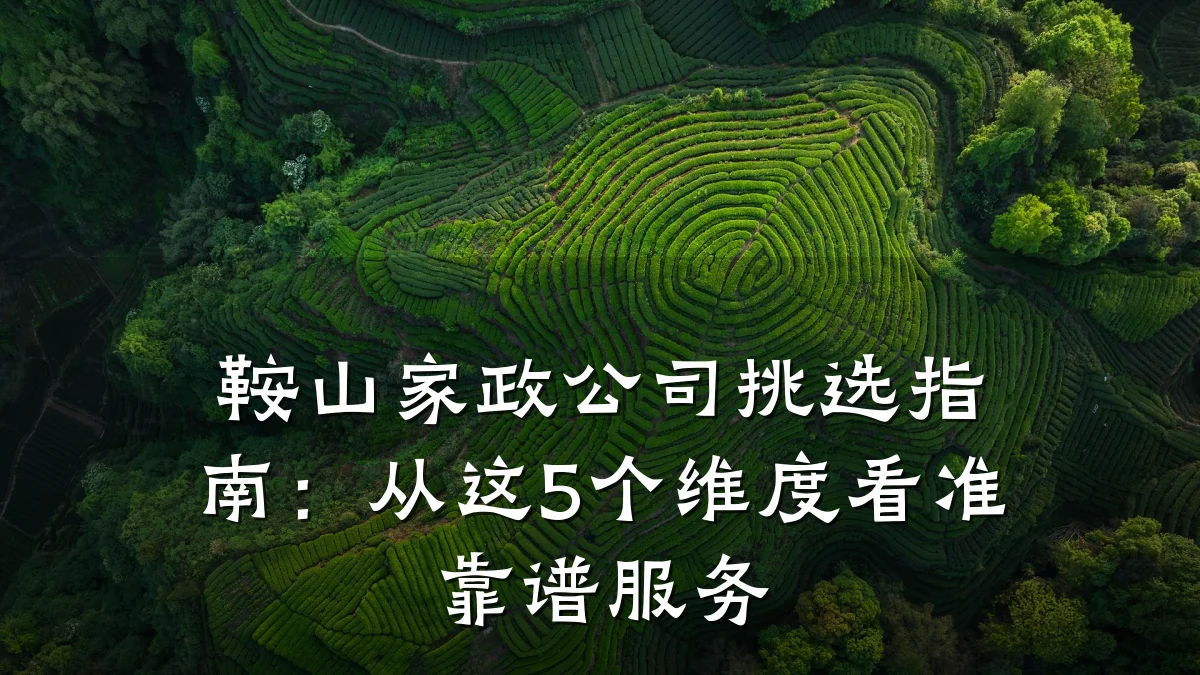 鞍山家政公司挑选指南：从这5个维度看准靠谱服务