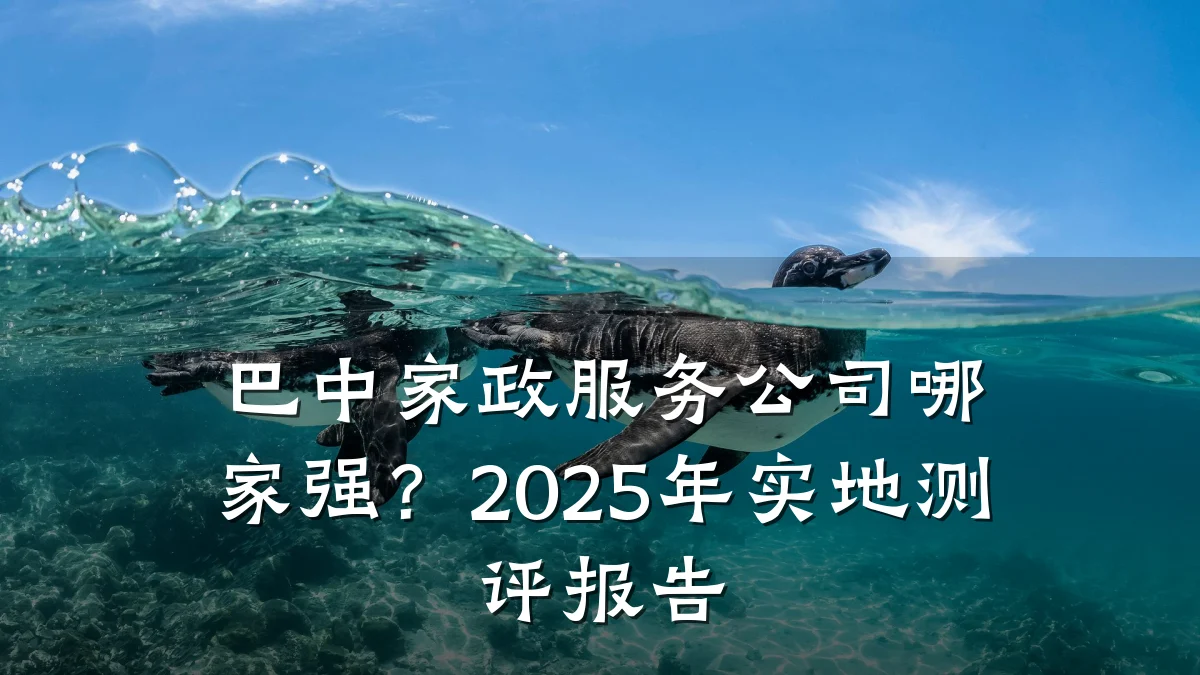 巴中家政服务公司哪家强?2025年实地测评报告