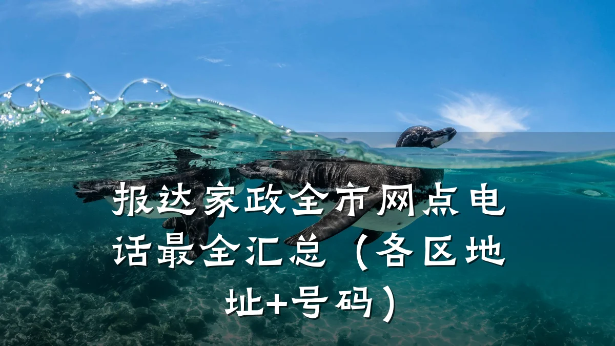 报达家政全市网点电话最全汇总(各区地址+号码)