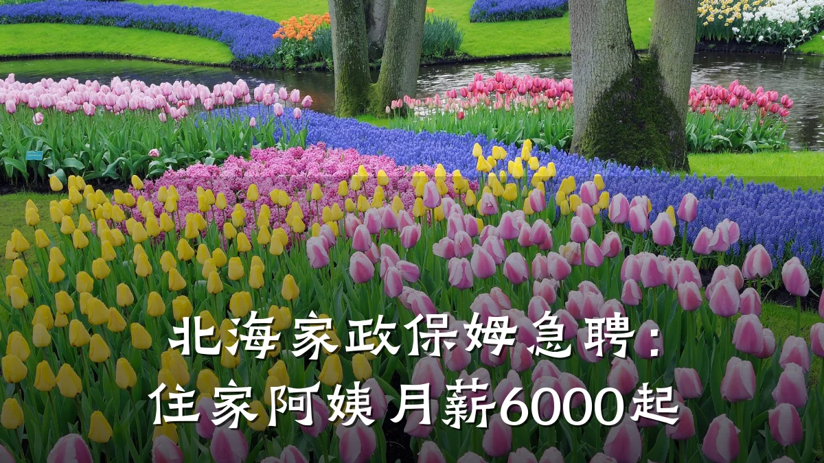 北海家政保姆急聘:住家阿姨月薪6000起