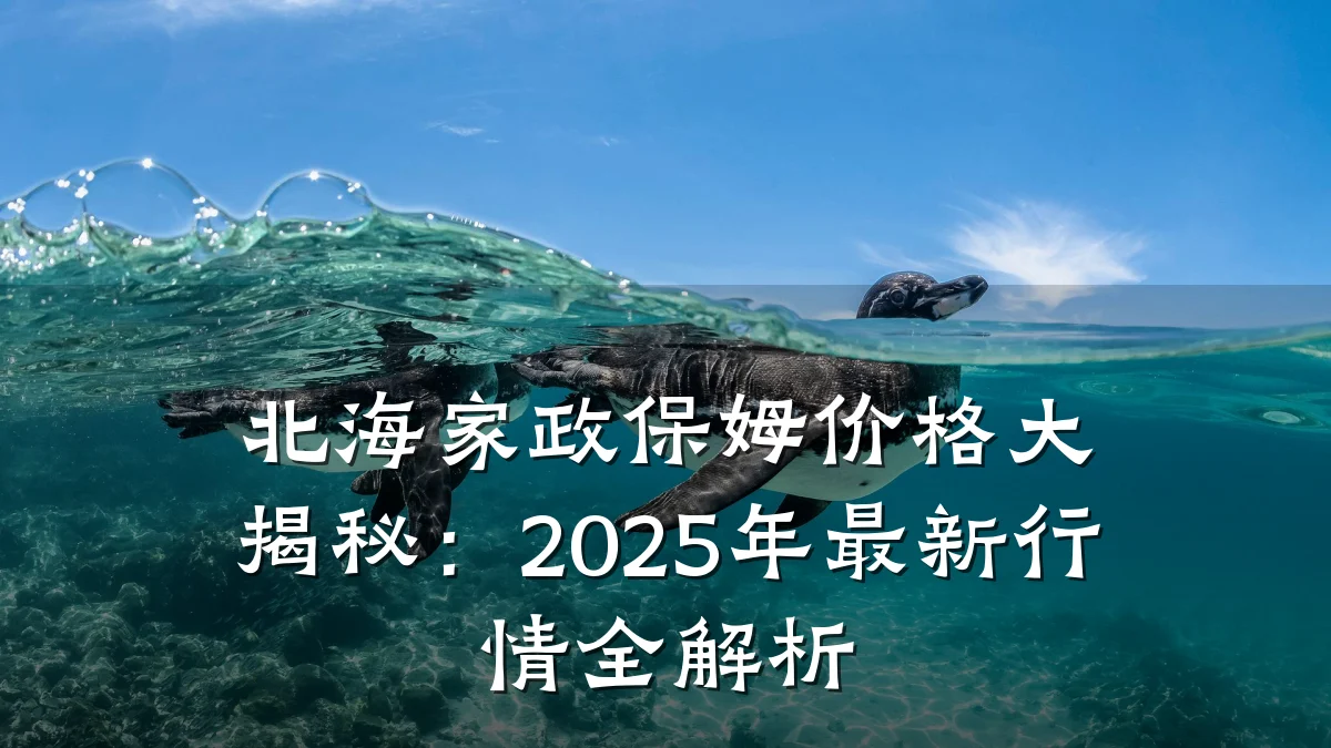 北海家政保姆价格大揭秘:2025年最新行情全解析