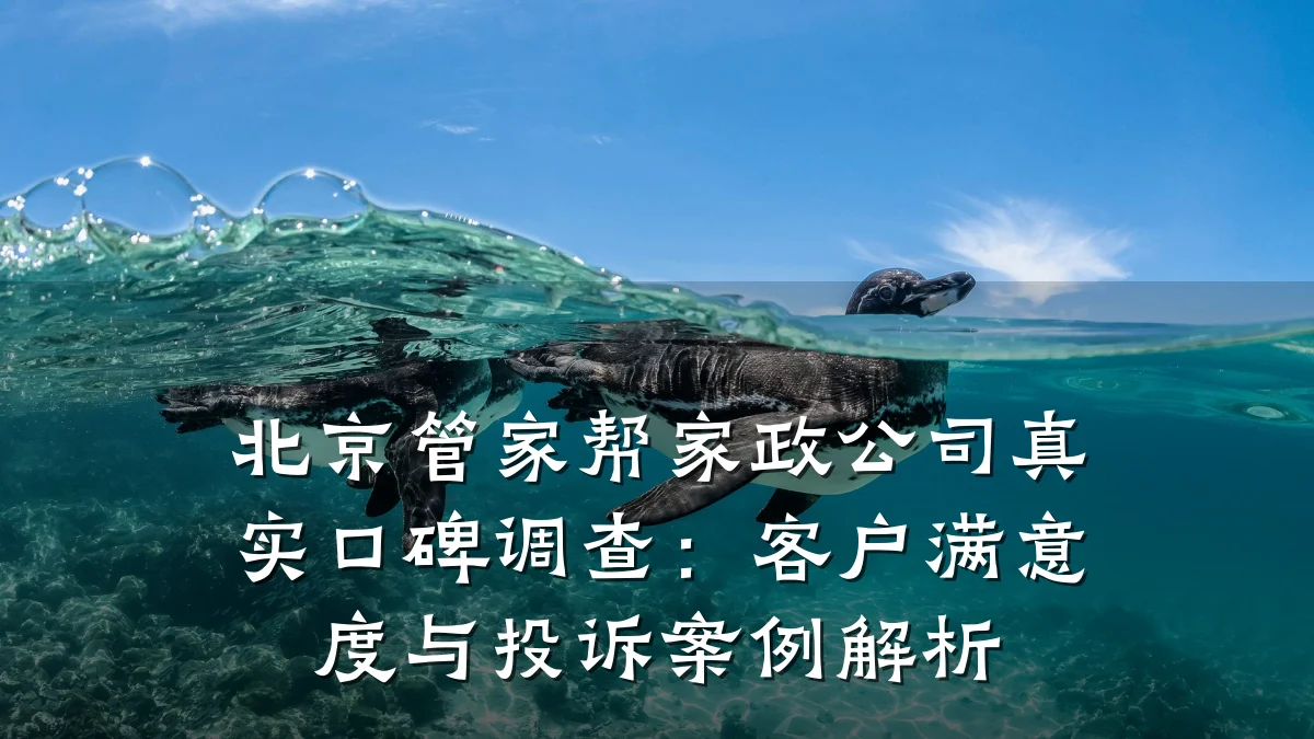 北京管家帮家政公司真实口碑调查：客户满意度与投诉案例解析
