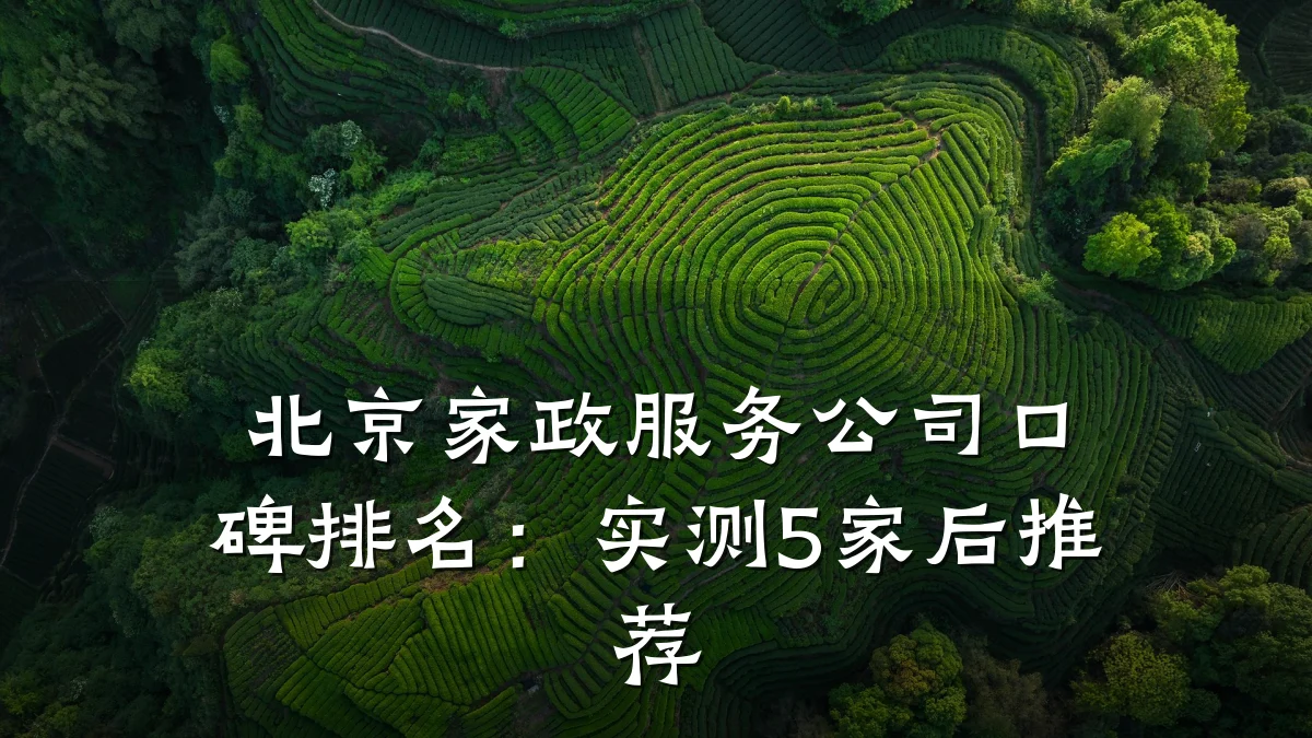北京家政服务公司口碑排名:实测5家后推荐