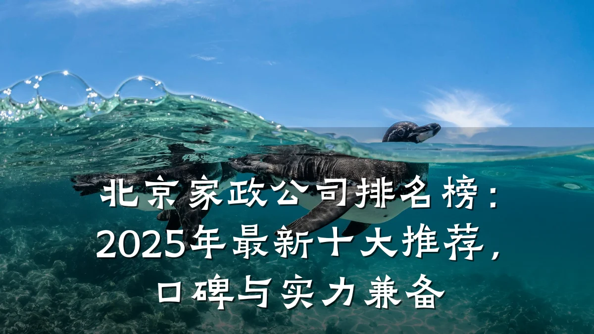 北京家政公司排名榜:2025年最新十大推荐,口碑与实力兼备